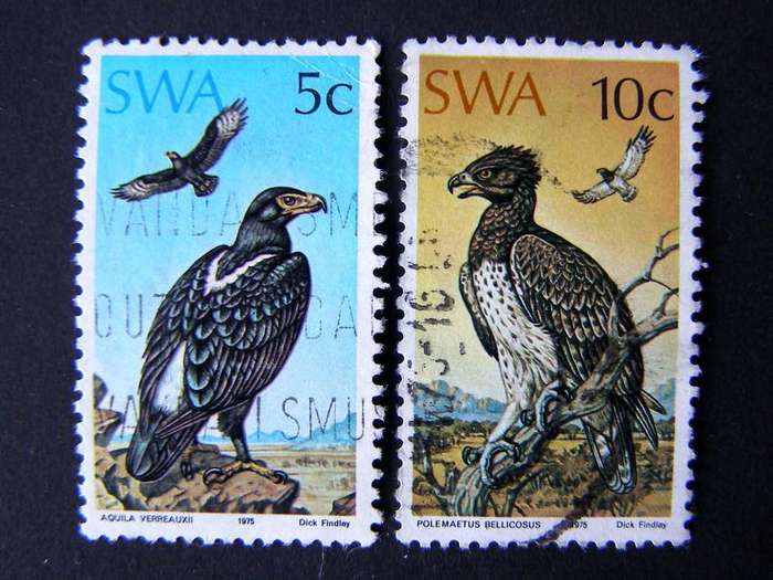 SWA - Protected Birds of Prey 1975