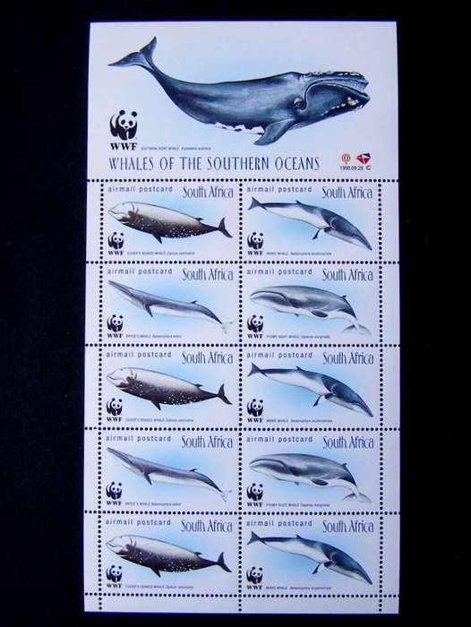 SOUTH AFRICA Mint Sheet - Whales of the Southern Oceans 1998