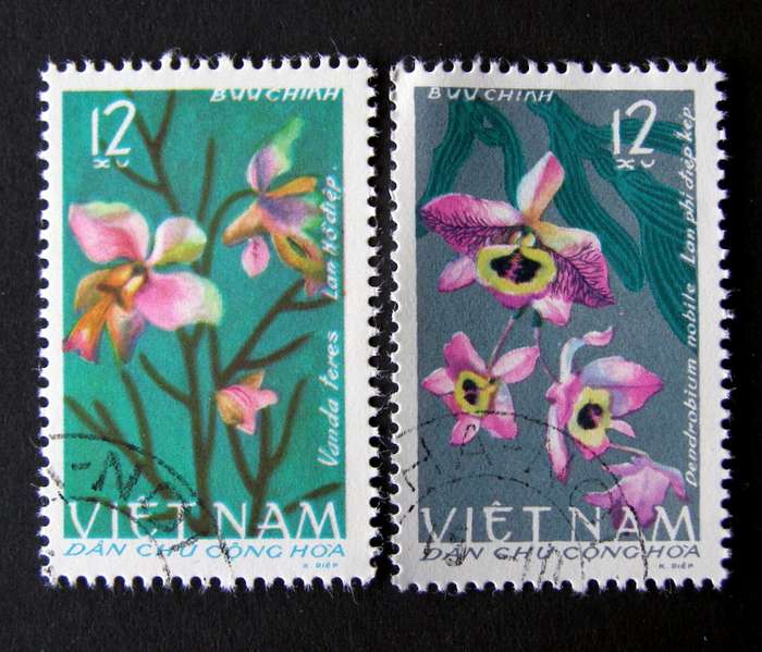 NORTH VIETNAM - Orchids 1966 //Flowers