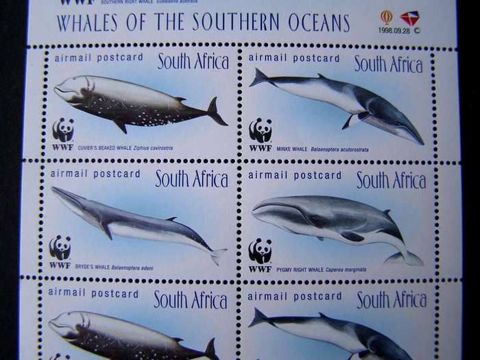 SOUTH AFRICA Mint Sheet - Whales of the Southern Oceans 1998