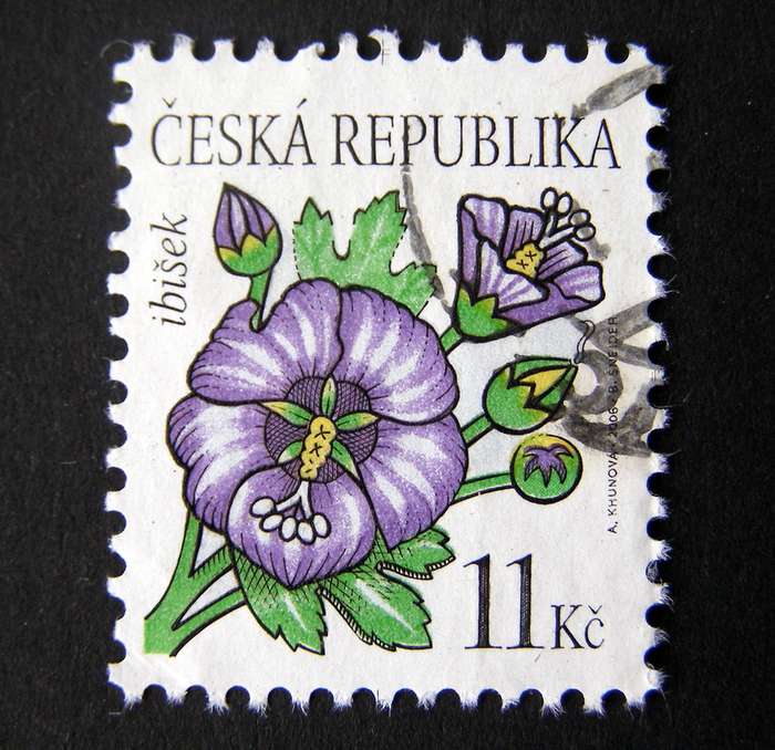 CZECH REPUBLIC - Flowers 2005