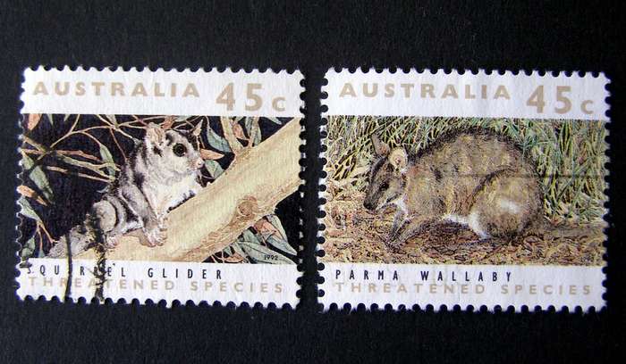 AUSTRALIA - Threatened Species (Ordinary Gum) 1992 //Animals