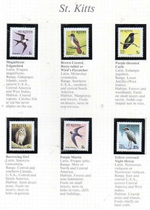 WORLD SELECTION OF BIRDS UMM SINGLES. NOT ALL COMPLETE SETS. AS PER (X21) SCANS. NICE LOT. READ