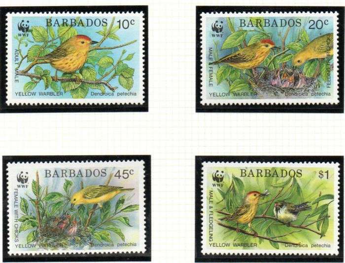 Barbados 1991 endangered species (WWF) birds umm set of (x4) SG948-51. CV GBP 11+
