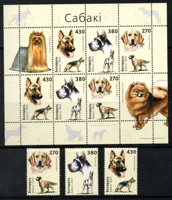 Belarus 2003 dogs umm sheet of (x6) + set of (x3) singles  SG556-558  lovely thematic set.