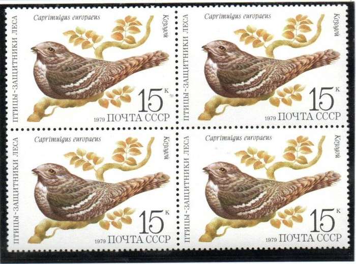 Russia 1979 birds umm set of (x5) blocks of (x4) - SG4922-26 - CV GBP 10+