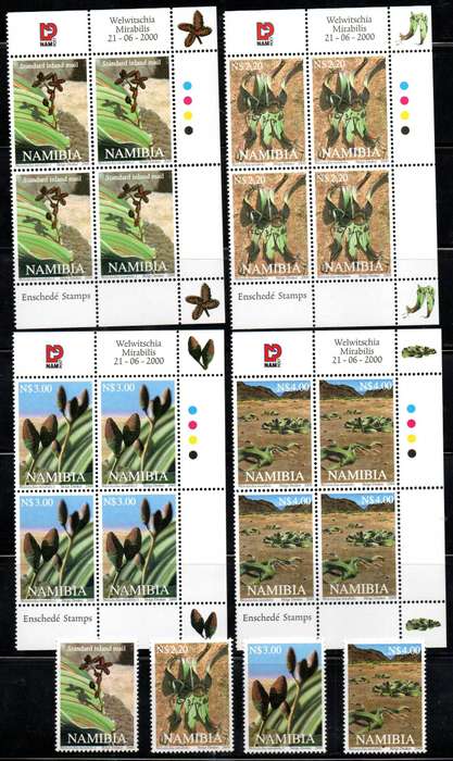 Namibia 2000 Welwitschias umm set of (x4) controls + set of singles  SACC337-340.