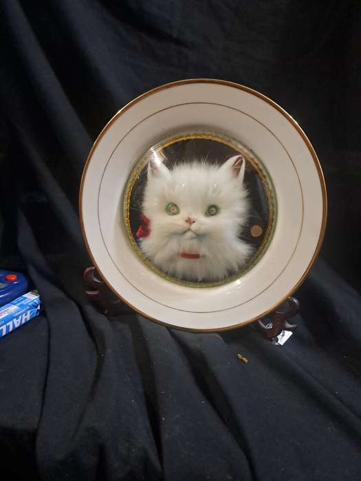1950s 3d fluffy cat plate