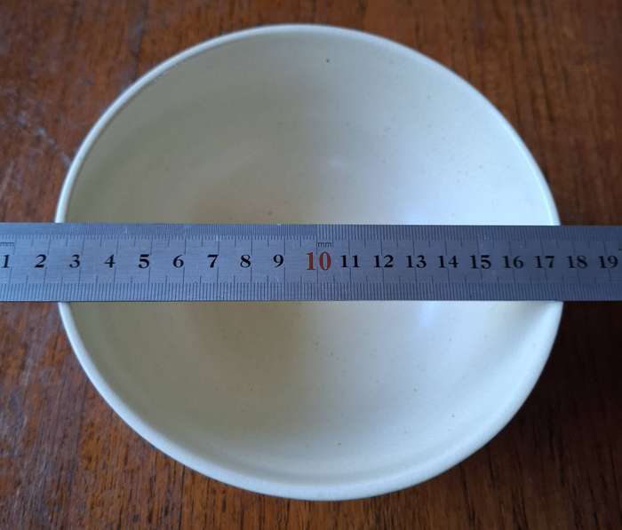 Voortrekker 159th Anniversary of Groot Trek 1838-1988 medium-size bowl, excellent condition