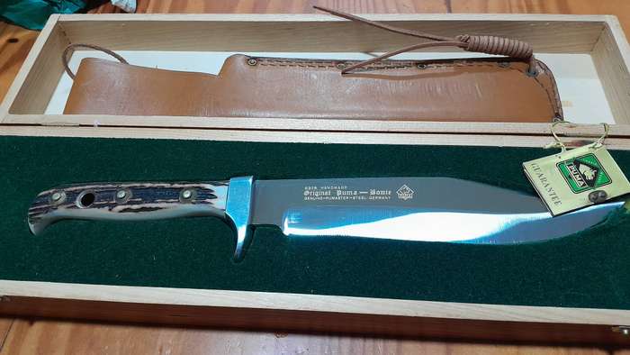 Puma bowie 6376