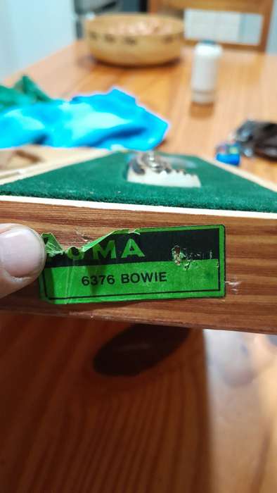 Puma bowie 6376