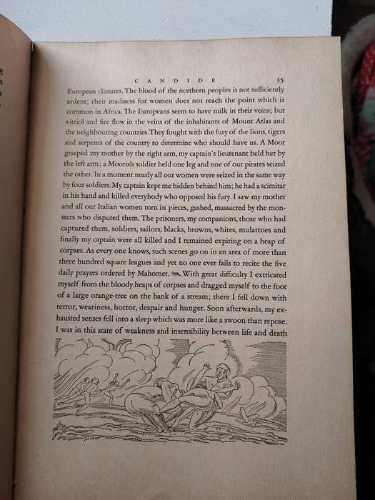 C A N D I D E  by Jean Francois Marie  Arouet de Voltaire