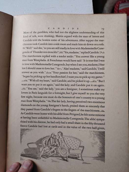 C A N D I D E  by Jean Francois Marie  Arouet de Voltaire
