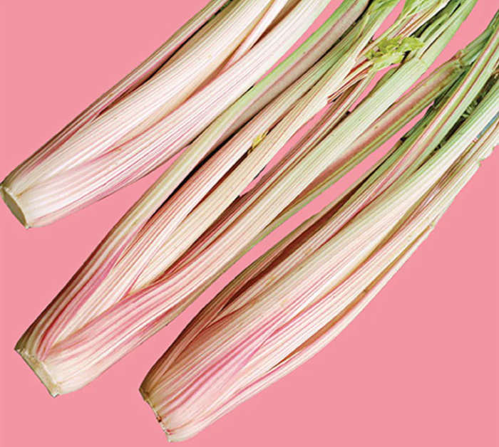 Celery `Peppermint Stick`     - 30 Seeds