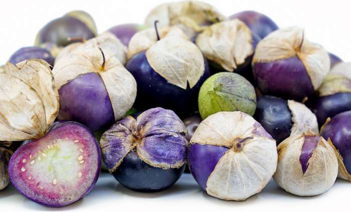 PURPLE TOMATILLO / Mexican Tomato  / Jamberry - 20 Seeds - Heirloom