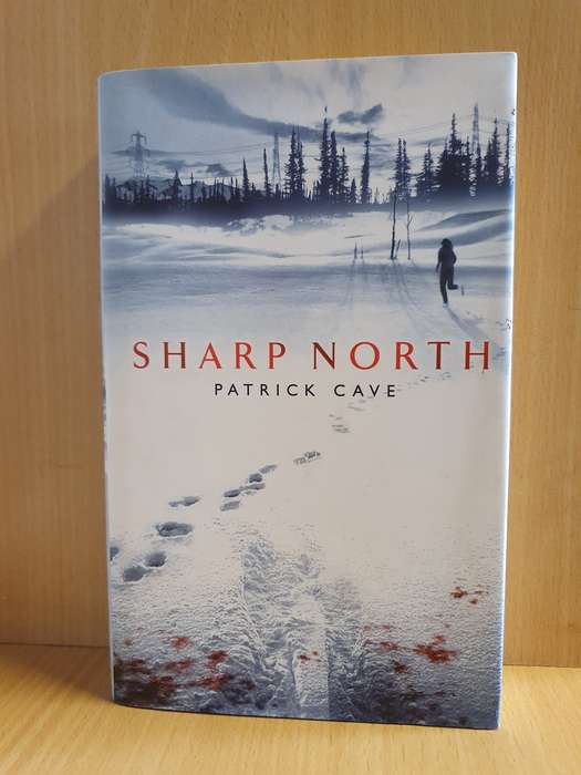 Taking the Lead: Sarah Monk (Paperback)