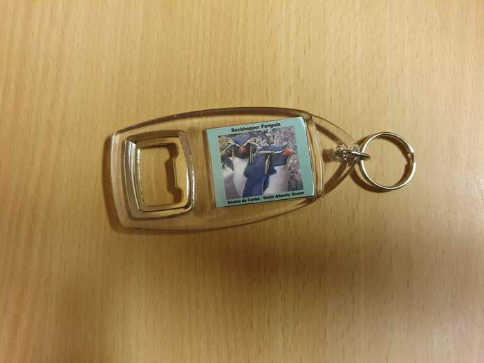 Rockhopper Penguin Bottle Opener/Keyring