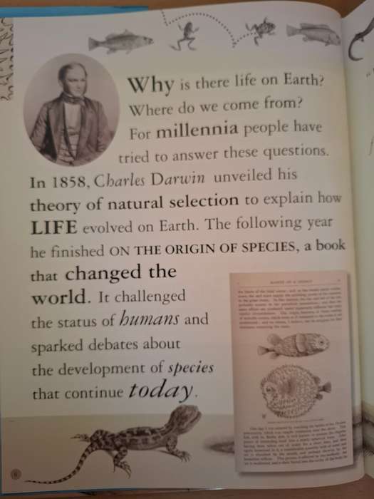 DK - Evolution Revolution (From Darwin to DNA) Robert Winston  (Hardcover)