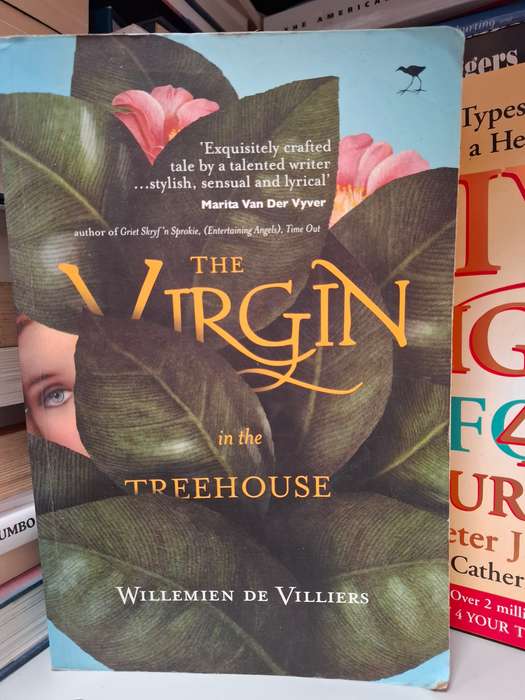 The Virgin in the Treehouse: Willemien De Villiers  (Paperback)