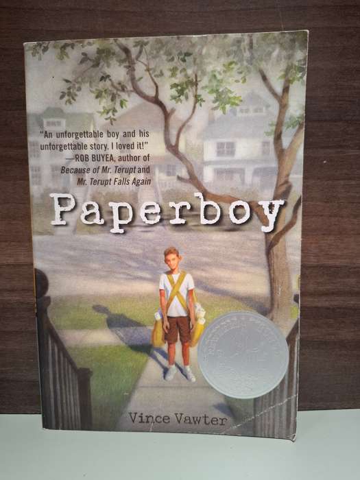 Paperboy: Vince Vawter  (Paperback)