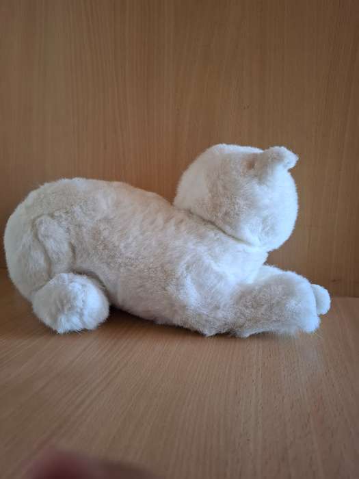 Cat Soft Toy
