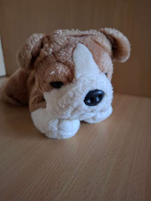 Dog Soft Toy