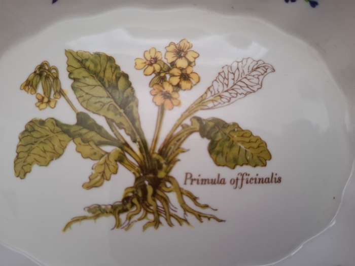 Princess Royal Fine Bone China Pin Dish, Made in England (13cm x 10cm)