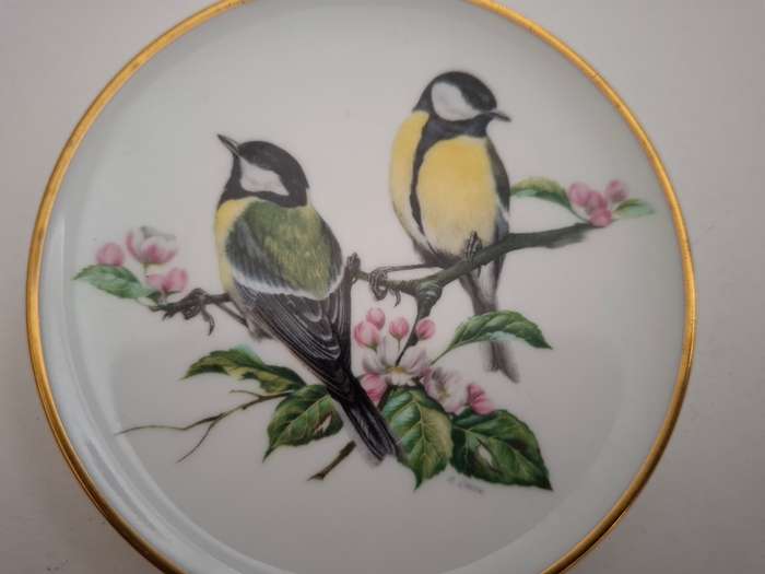 Small Coalport Plate - British Birds - Great Tit - width 9cm