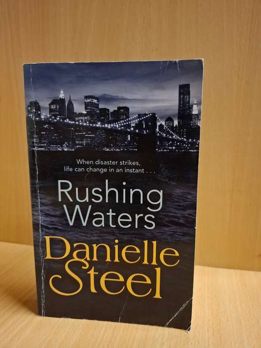Rushing Waters: Danielle Steel (Paperback)