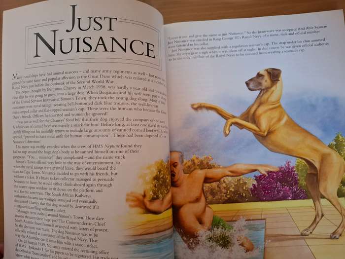 African Animal Tales : Jay Heale  (Paperback)