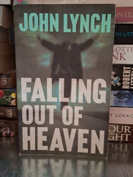 Falling out of Heaven: John Lynch  (Paperback)