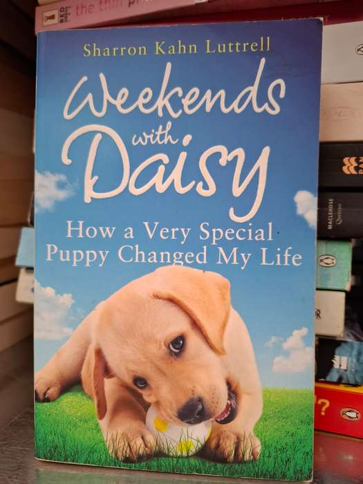 Weekends with Daisy: Sharron Kahn Luttrell  (Paperback)