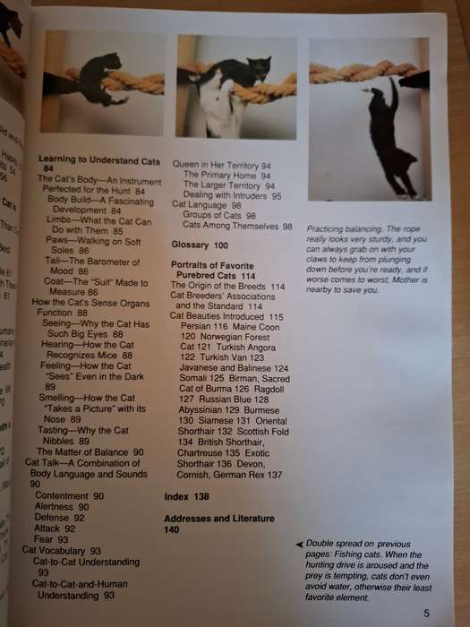 The Complete Book of Cat Care - How to Raise a Happy and Healthy Cat  (Paperback)