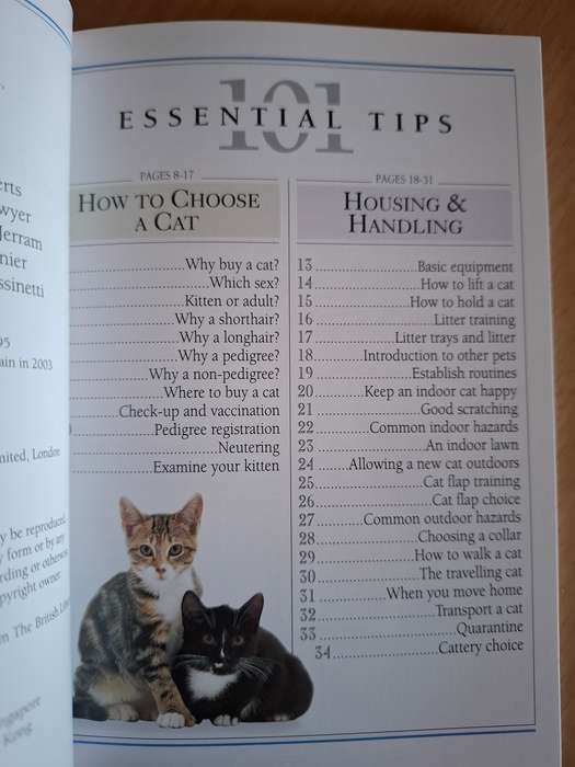 DK - 101 Essential Tips - Caring for Your Cat: Andrew Edney, David Taylor  (Paperback)