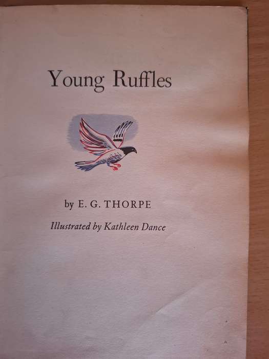 Young Ruffles : E.G. Thorpe (Hardcover)