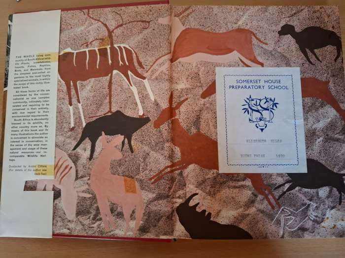 Wildlife Heritage of South Africa : Douglas Hey  (Hardcover)