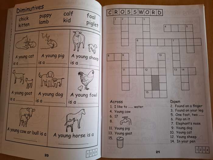Trumpeter Workbooks - Simply English Workbook 2 : Hilary Cawood