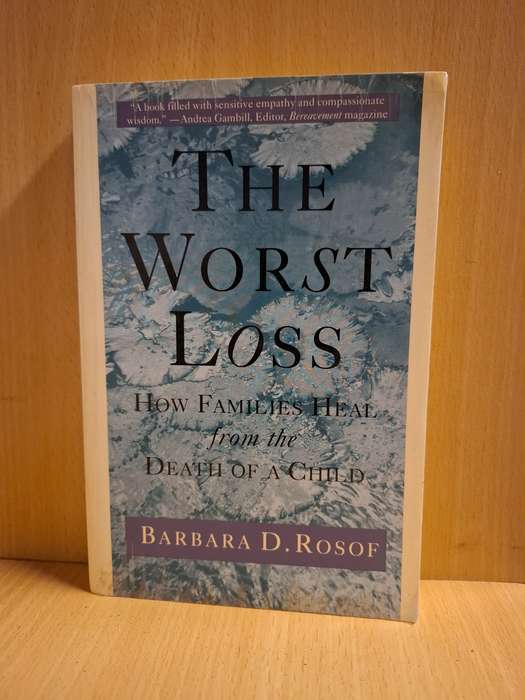 The Worst Loss (How Families Heal from the Death of a Child) Barbara D. Rosof  (Paperback)