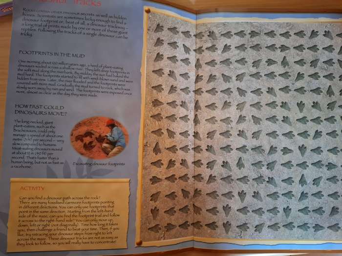 Puzzle Quest Prehistoric Times - Wipe-Clean Activity Book