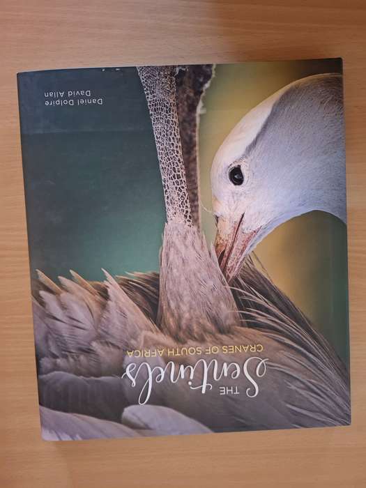 The Sentinels - Cranes of South Africa : Daniel Dolpire, David Allan  (Hardcover)