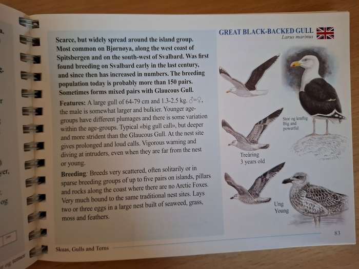 Svalbardfugler - Svalbard Birds - A Basic Field Guide (Paperback)