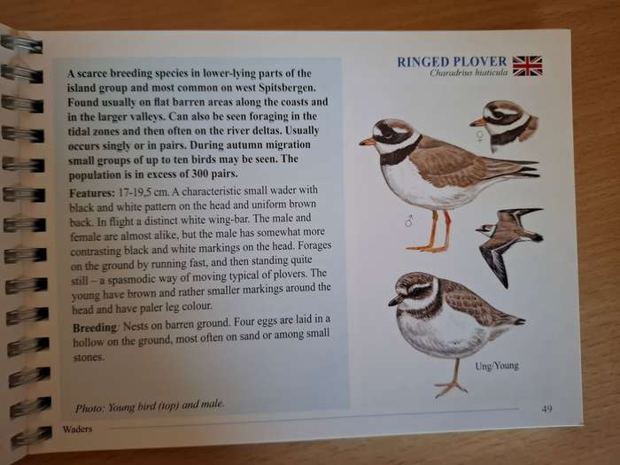 Svalbardfugler - Svalbard Birds - A Basic Field Guide (Paperback)