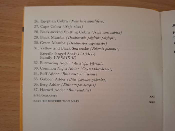Common Snakes of South Africa : John Visser  (Hardcover)