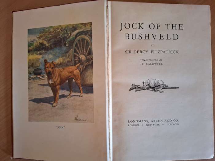 Jock of the Bushveld : Sir Percy Fitzpatrick (Hardcover)