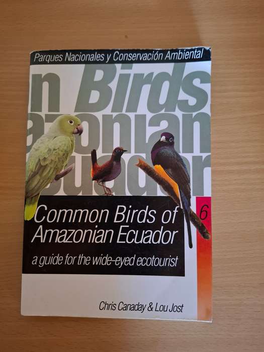 Common Birds of Amazonian Ecuador : Chris Canaday & Lou Jost  (Paperback)