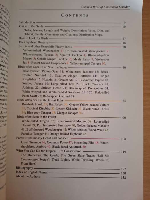 Common Birds of Amazonian Ecuador : Chris Canaday & Lou Jost  (Paperback)