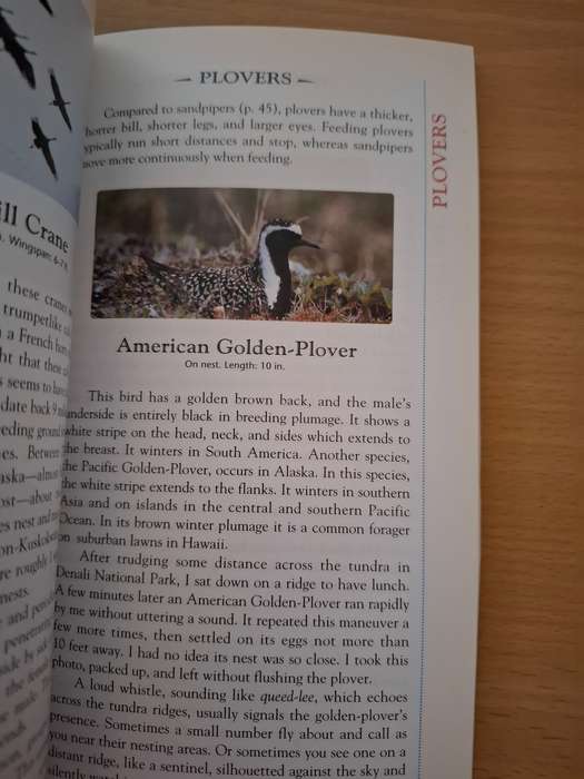 Alaska`s Birds : Robert H. Armstrong  (Paperback)