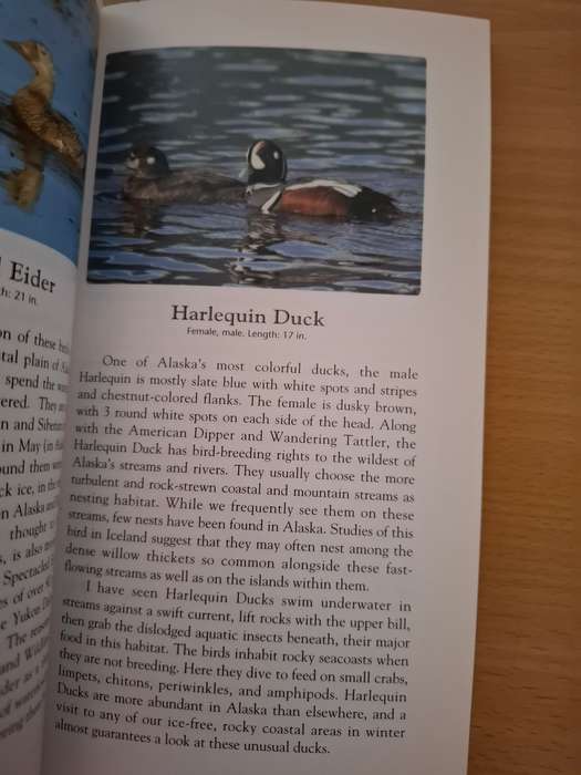 Alaska`s Birds : Robert H. Armstrong  (Paperback)