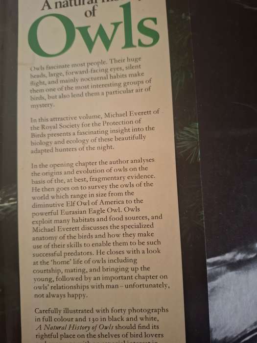 A Natural History of Owls : Michael Everett  (Hardcover)