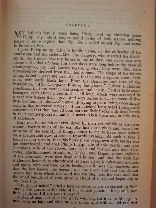 Great Expectations by Charles Dickens  (Hardcover)